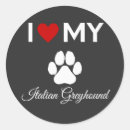 Search for greyhound dog stickers Italian