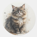 Search for tabby cat kitten stickers Pet