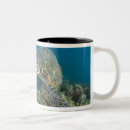 Search for algae mugs Ocean