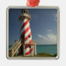 Search for bahamas christmas tree decorations Grand bahama
