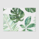 Search for tropical tissue paper Exotic