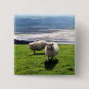 Search for ewe badges Sheep