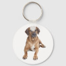 Search for rhodesian key rings Puppies