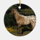 Search for appaloosa horse christmas tree decorations Standing