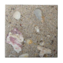 Search for beach shells tiles Coral