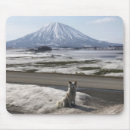 Search for shiba inu mousepads Snow