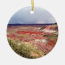 Search for southwestern christmas tree decorations Sedona