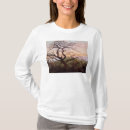 Search for jackdaws Landscape