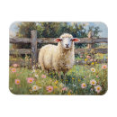 Search for meadows magnets Sheep