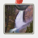 Search for wyoming christmas tree decorations Usa