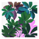 Search for pink leaf art Nature