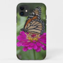 Search for perennial electronics Butterfly