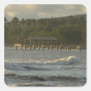 Search for kauai hawaii stickers Tropical