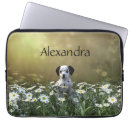 Search for wild dog electronics Cute