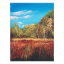 Search for trails art Nature