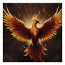 Search for phoenix bird posters Wildlife