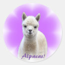 Search for alpaca stickers Farm