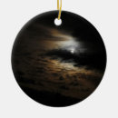 Search for moonlight christmas tree decorations Photography