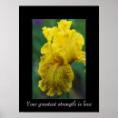 Search for iris painting posters Bouquet