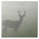 Search for deer antlers tiles Grey