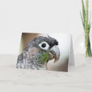 Search for quilling cards Cute