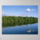 Search for amazons posters Rainforest