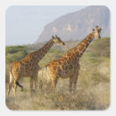Search for somali stickers Nature