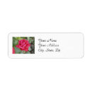 Search for red rose return address labels Garden
