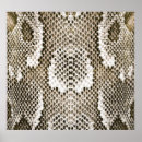 Search for python posters Pattern