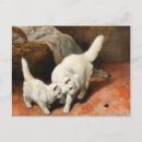 Search for vintage cat art postcards Felines