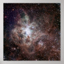 Search for tarantula posters Galaxy