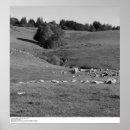Search for ucsc Photography