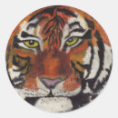 Search for indian tiger stickers Animal