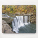 Search for chuck mousepads No people