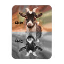 Search for barnyard magnets Goat