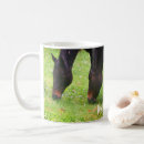 Search for grazing mugs Animal