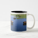 Search for swallow mugs Outdoors