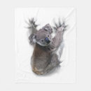Search for koala bear blankets Australia