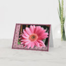 Search for gerber daisies cards Nature