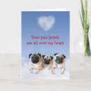 Search for love pug cards Pugs