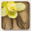 Search for wooden coasters Background
