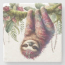 Search for sloth coasters Nature