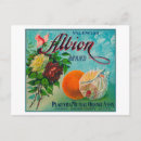 Search for crate label postcards Orange