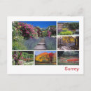 Search for surrey postcards England