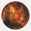 Search for tiger head stickers Feline