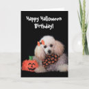Search for dog halloween cards Pet