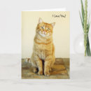 Search for love your cat cards Sweet