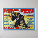 Search for barnum posters Ringling
