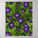 Search for glories posters Flowers