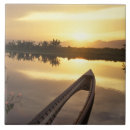 Search for asia tiles Sunset
